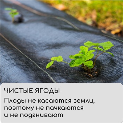Агроткань застилочная, с разметкой, 5×3.2 м, плотность 100 г/м², полипропилен, Greengo, Эконом 50%
