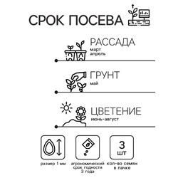 Семена цветов Изотома Джемини Блю, ц/п, 3 шт.