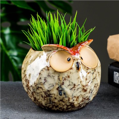 Декоративный горшок для цветов «Совёнок», 550 мл, 11×11.5×10 см, керамика, бежевый