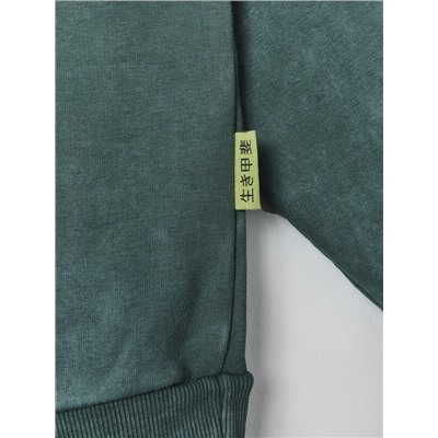 ХУДИ МУЖСКОЕ 121825