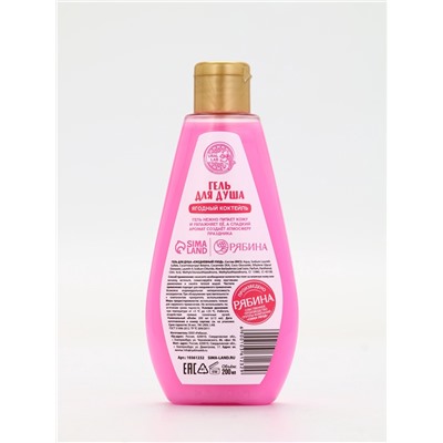 Подарочный набор новогодний: гель для душа 200 мл и бомбочки для ванны 4 шт. × 40 г, URAL LAB