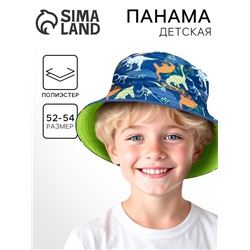 Панама детская для мальчика «Динозавр», р-р. 54 см
