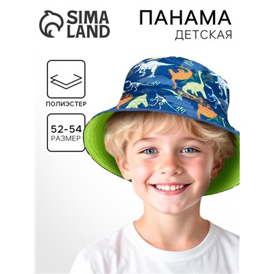 Панама детская для мальчика «Динозавр», р-р. 54 см