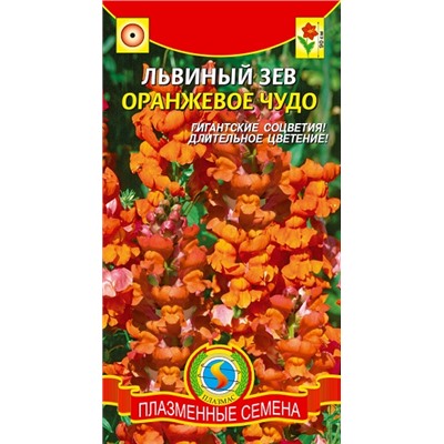 Львиный зев Оранжевое чудо (Код: 91092)
