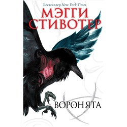 342702 Эксмо Мэгги Стивотер "Вороновый круг. Воронята (#1)"