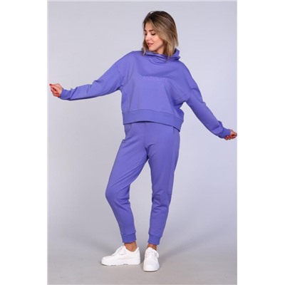 Спортивный костюм с брюками и кофтой 344 (Фиолетовый)