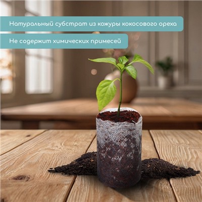 Таблетки кокосовые, для рассады, d = 3,5 см, с оболочкой, набор 6 шт., Greengo