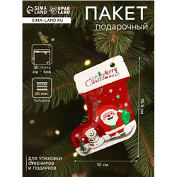 Пакет подарочный новогодний, с zip - lock застежкой, 10×15.5 см