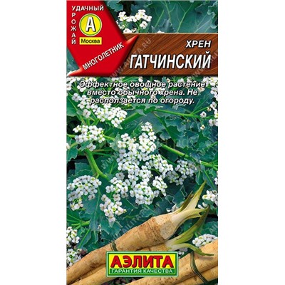Хрен Гатчинский (Аэлита)