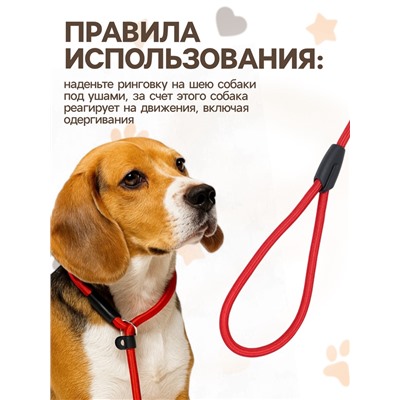 Ринговка для собак, 130×1 см, красная