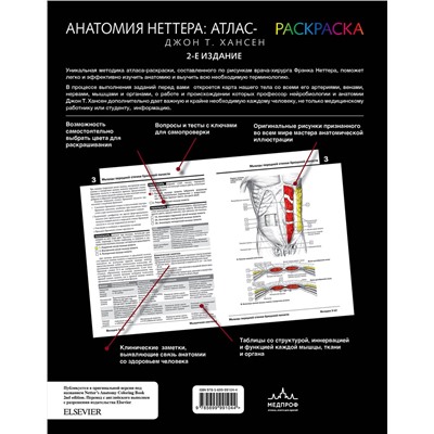 Эксмо Джон Т. Хансен "Анатомия Неттера: атлас-раскраска"