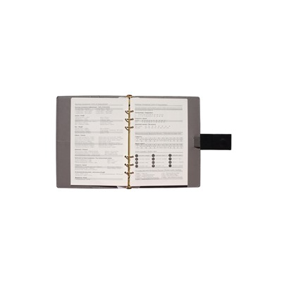 Органайзер на кольцах, А5, с хлястиком, 80 л, линия, к/зам, Черный