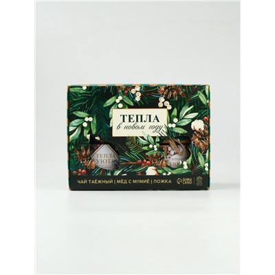Подарочный набор новогодний «Тепла», мёд с мумие 250 г, чай 50 г, ложка