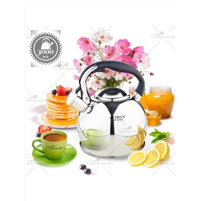 ZEIDAN Чайник Z-4166