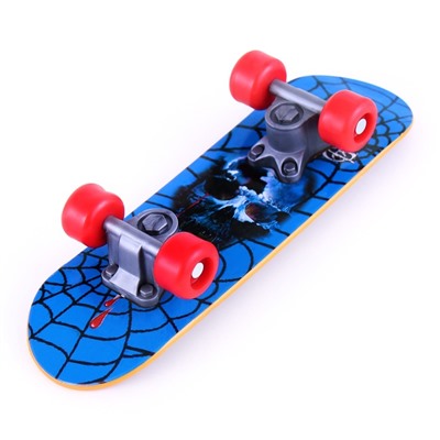 Игрушка для птиц «Скейт», МИКС