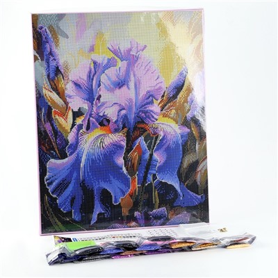 Алмазная мозаика с полным заполнением на холсте с подрамником «Ирисы», 40×50 см