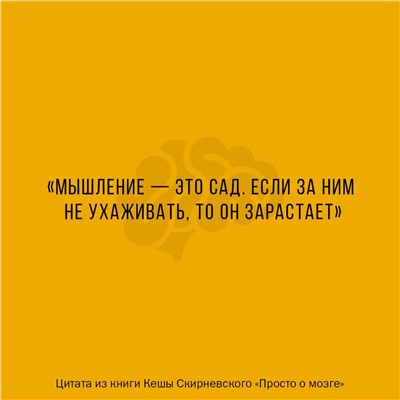 АСТ Кеша Скирневский "Просто о мозге. Как знания о мозге помогают получить больше"