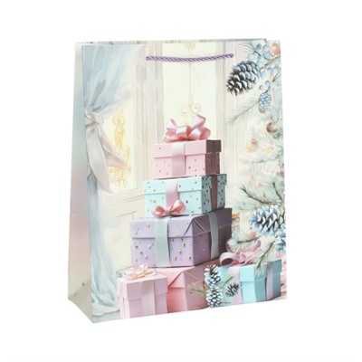 Пакет подарочный 18х24х8,5 / 6062-S /уп 12/720/Новый год