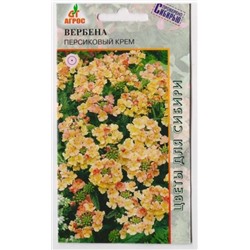 Вербена Персиковый Крем (Код: 9272)