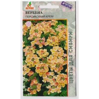 Вербена Персиковый Крем (Код: 9272)