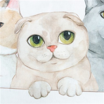 Постельное бельё 1.5-спальное «Этель» Happy cats, бязь