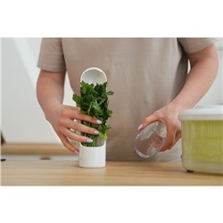 Контейнер для хранения зелени Доляна Fresh, пластик, 500 мл, белый