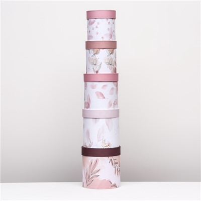 Набор шляпных подарочных коробок 5 в1 «Легкость», 20×20 - 15×15 см