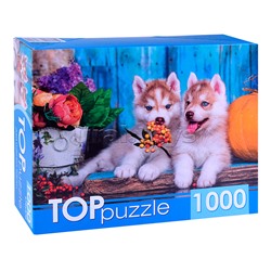 Пазлы 1000 TOPpuzzle "Два щенка хаски"