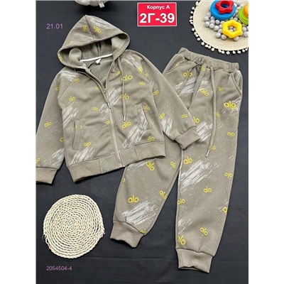 костюм с начесом 2054504-4