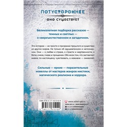 АСТ Щетинина Е., Шендеров Г., Кабир М. и др. "Свидетель"