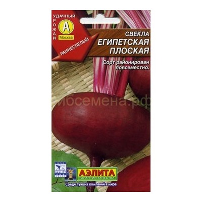 Свекла Египетская плоская (Аэлита)