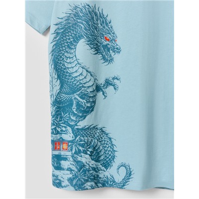 КОМПЛЕКТ МУЖСКОЙ (ФУТБОЛКА, БРЮКИ) 591039