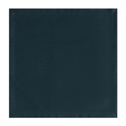 Набор салфеток с декоративными кольцами Grey pleasure, 40×40 см - 2 шт., 100% хлопок, саржа 190 г/м²