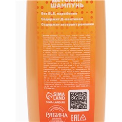 Детский шампунь, аромат апельсиновое мороженое, 250 мл, Чебурашка