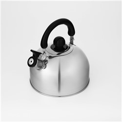 Чайник со свистком Доляна «Чёрная ночь», 3 л, нержавеющая сталь, фиксированная ручка, хромированный