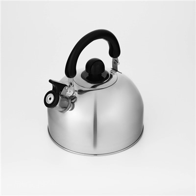 Чайник со свистком Доляна «Чёрная ночь», 3 л, нержавеющая сталь, фиксированная ручка, хромированный