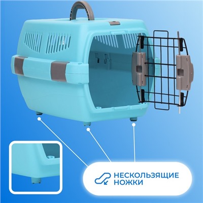 Переноска для животных «Неон», 48×32×29.5 см, вес до 12 кг, пластик, голубая