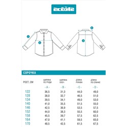 Рубашка ACOOLA, 1038788