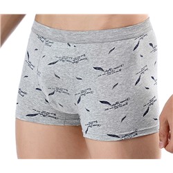 Трусы-боксеры А08507280