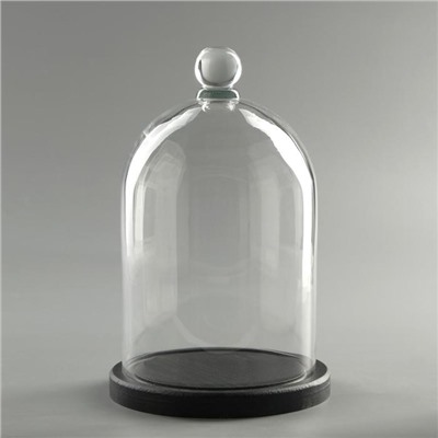 Стеклянный купол-клош с шариком на подставке «Родрик», 24×15 см, чёрный