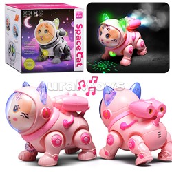 Кот "Электрокосмический кот" в коробке