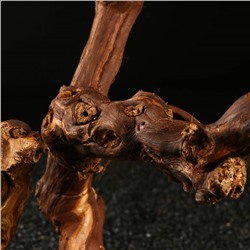 Коряга для аквариума «Лоза виноградная», 40 - 50 см