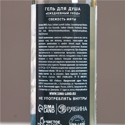 Подарочный набор новогодний «Настоящему мужчине»: гель для душа 100 мл и мочалка для тела, Чистое счастье