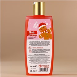 Гель для душа, 250 мл, аромат имбирного пряника, URAL LAB