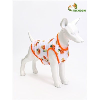 Футболка для животных «Апельсинка», размер M, ДС 30, ОГ 42 см