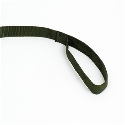 Поводок, 5 м × 2 см, зелёный