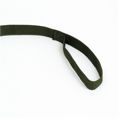 Поводок, 5 м × 2 см, зелёный