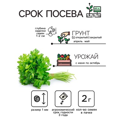 Семена петрушка листовая «Богатырь», 2 г