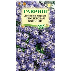 Лобулярия Фиолетовая Королева Гаври