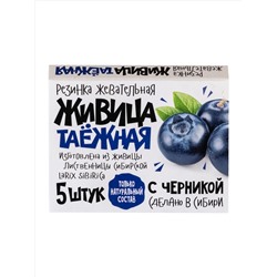 Резинка жевательная "Живица таежная" с Черникой, 5 штук по 0,8г